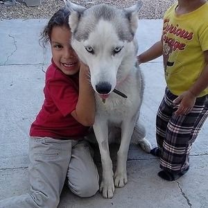 Meet your Posher, Anna